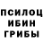 Псилоцибиновые грибы мухоморы Danielius Katkus