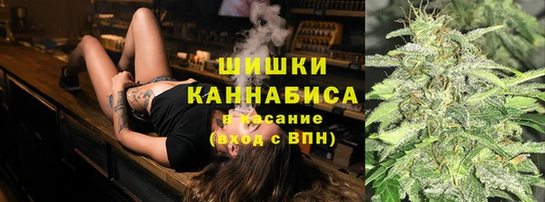 PSILOCYBIN Елизово