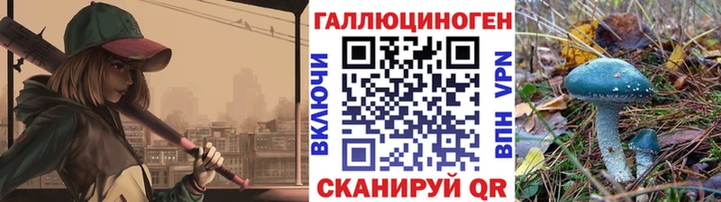 Псилоцибиновые грибы MAGIC MUSHROOMS  Купить где  Каменногорск 